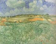 Vincent Van Gogh Plain near Auvers (nn04) oil painting on canvas